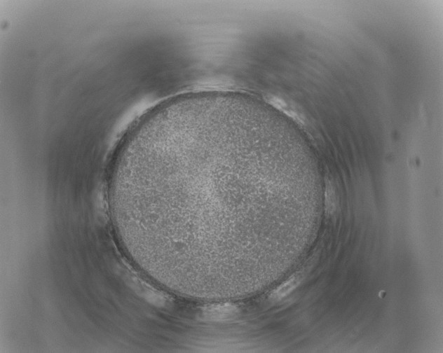 X0000072941454200608111548