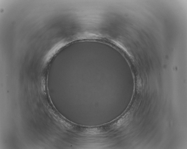 X0000072941455200608111548