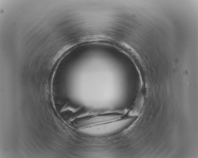 X0000072941457200608111548