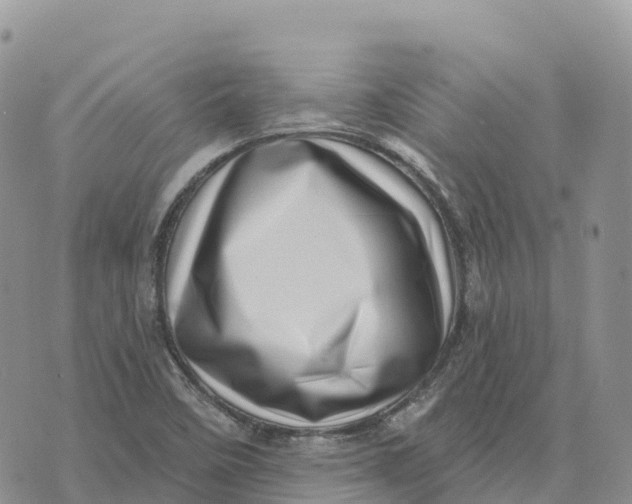 X0000072941458200608111548