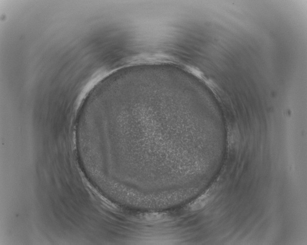 X0000072941459200608111548