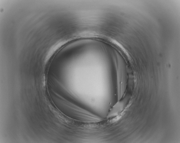 X0000072941461200608111548