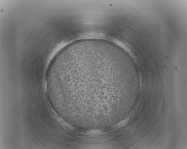 X0000072941462200608111548