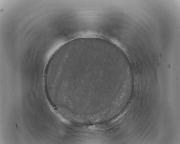 X0000072941463200608111548