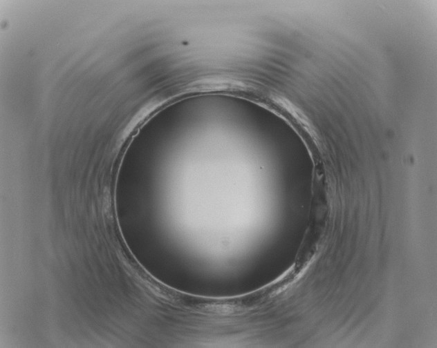 X0000072941465200608111548