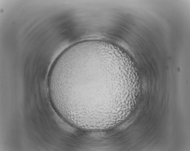 X0000072941466200608111548