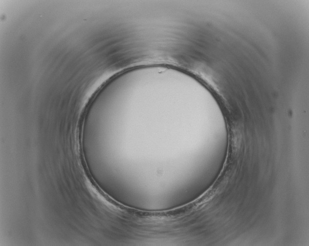 X0000072941468200608111548