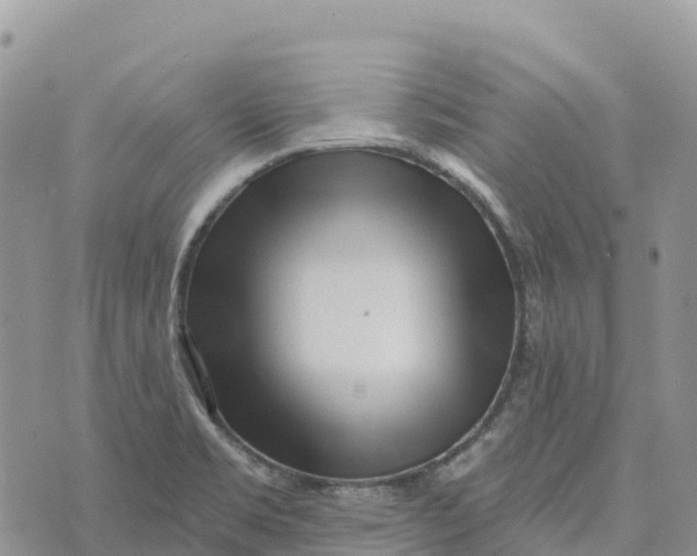 X0000072941469200608111548