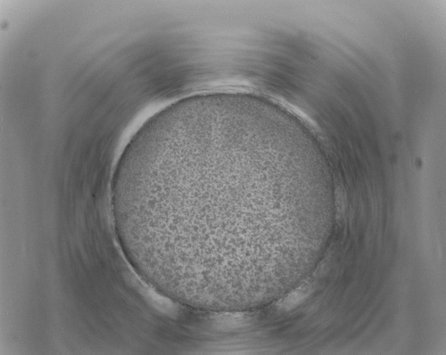 X0000072941470200608111548