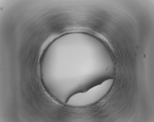 X0000072941472200608111548