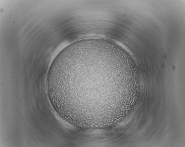 X0000072941474200608111548