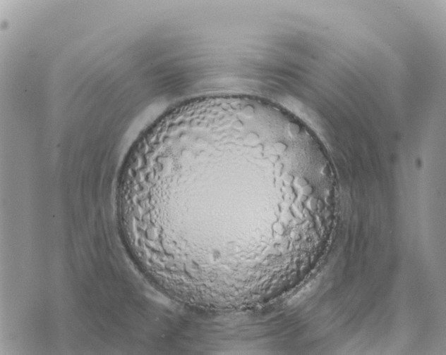 X0000072941477200608111548