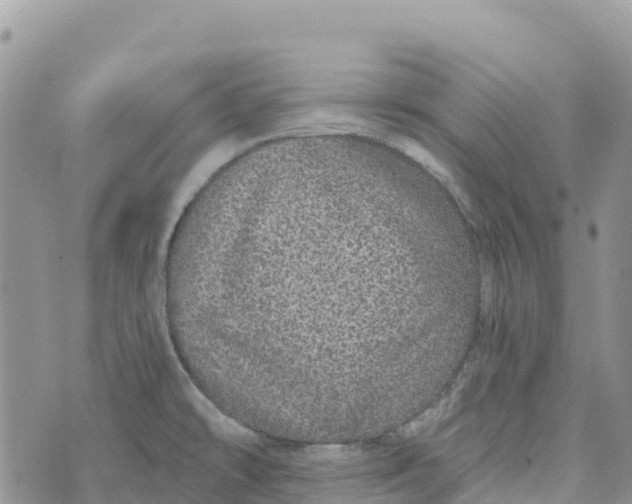 X0000072941478200608111548