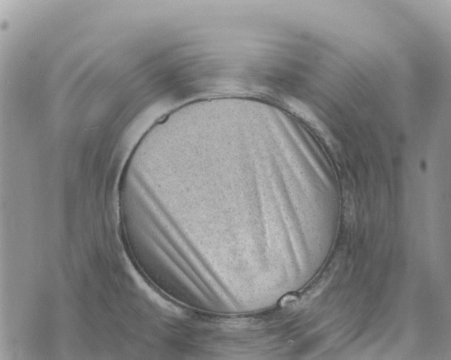 X0000072941479200608111548