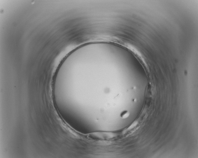 X0000072941480200608111548