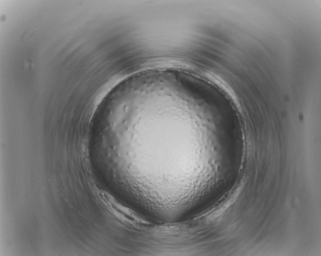 X0000072941481200608111548