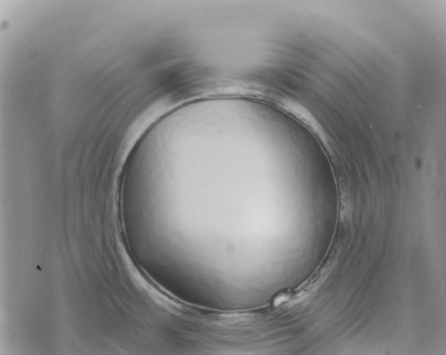 X0000072941483200608111548