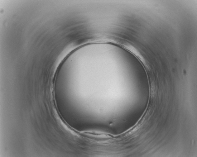 X0000072941484200608111548