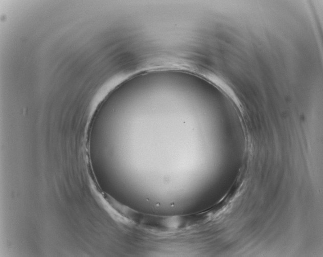 X0000072941485200608111548