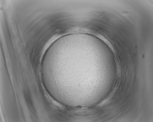 X0000072941486200608111548