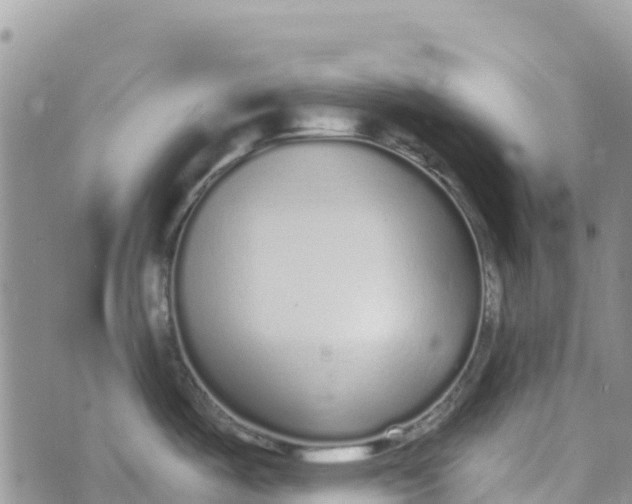 X0000072941487200608111548