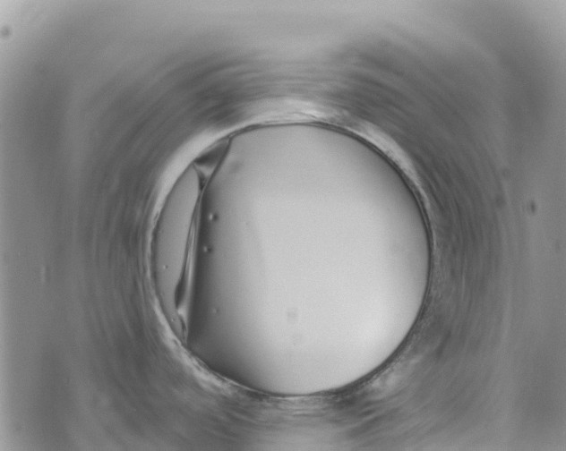 X0000072941488200608111548