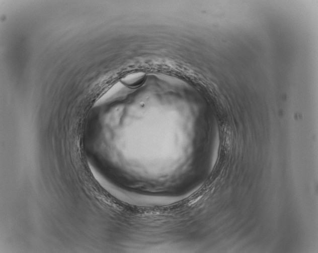 X0000072941489200608111547