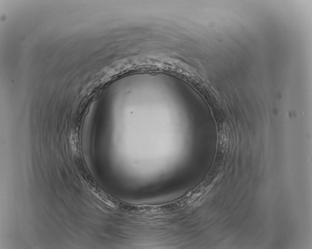 X0000072941490200608111547