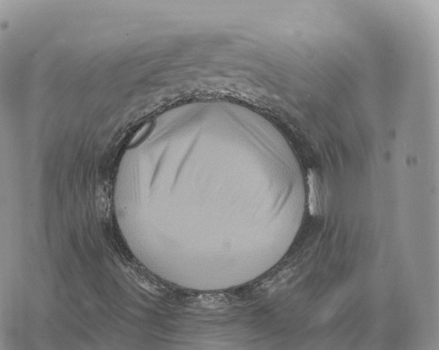 X0000072941491200608111547