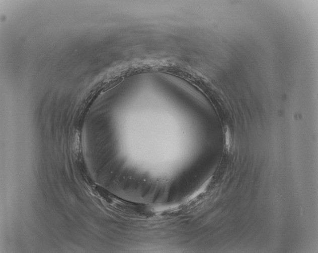 X0000072941492200608111547