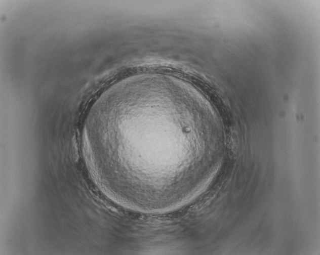 X0000072941493200608111547