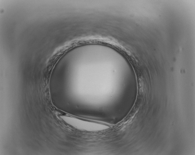 X0000072941494200608111547