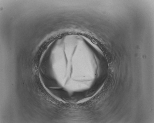 X0000072941495200608111547