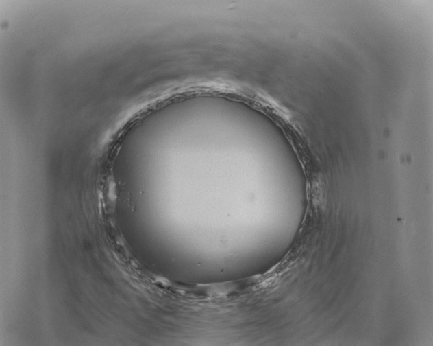 X0000072941496200608111547