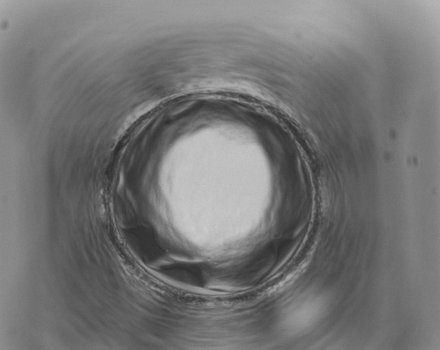 X0000072941497200608111547