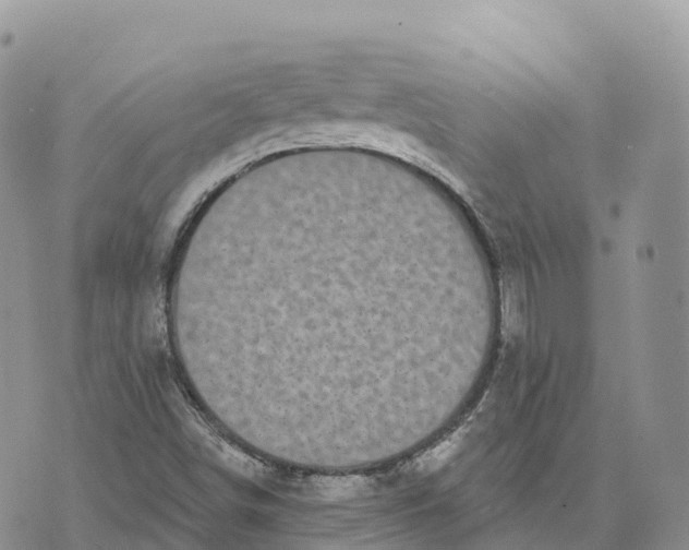 X0000072941498200608111547