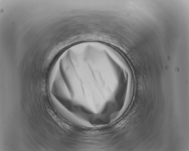 X0000072941499200608111547