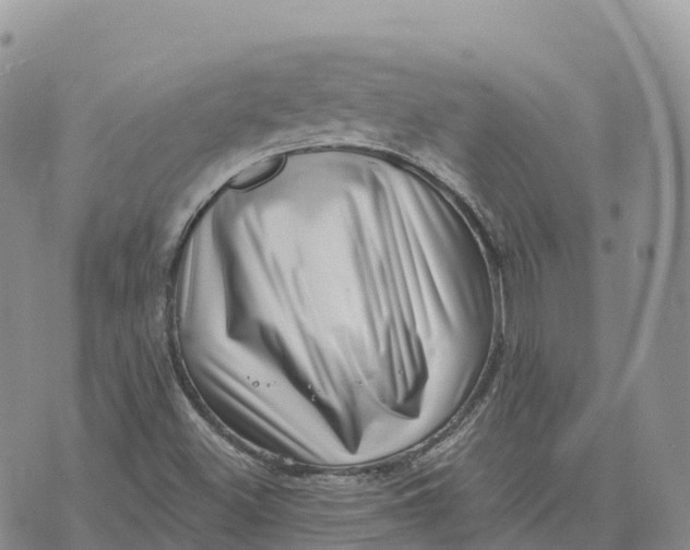 X0000072941500200608111547