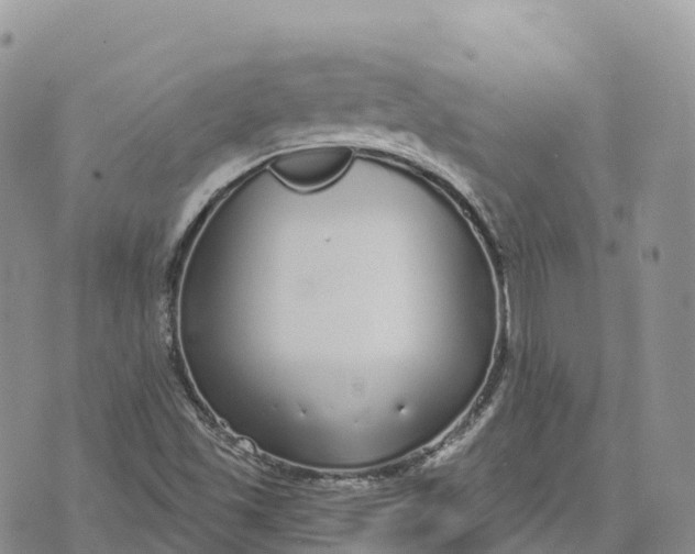 X0000072941501200608111547