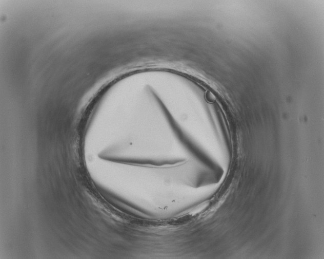 X0000072941502200608111547