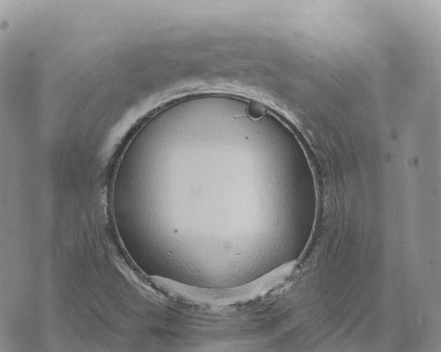 X0000072941503200608111547