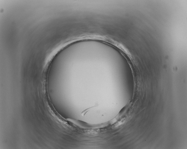 X0000072941504200608111547