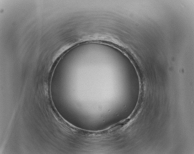 X0000072941505200608111547