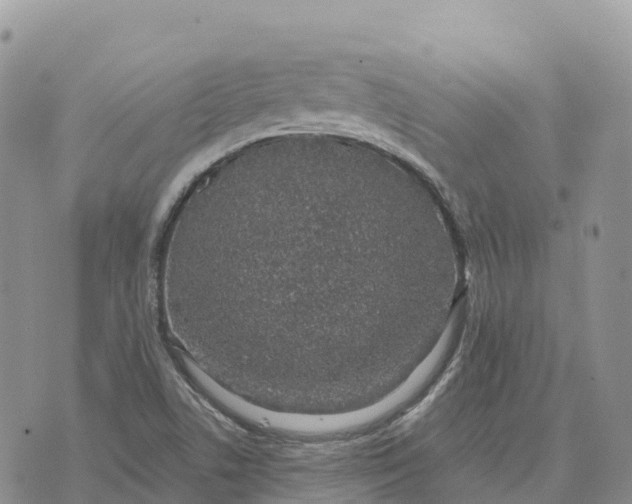 X0000072941506200608111547