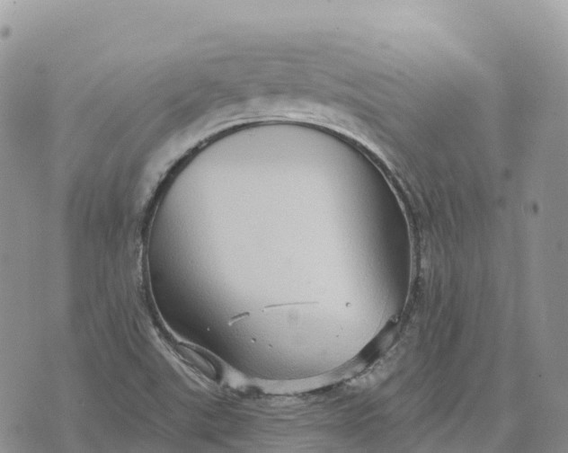 X0000072941507200608111547