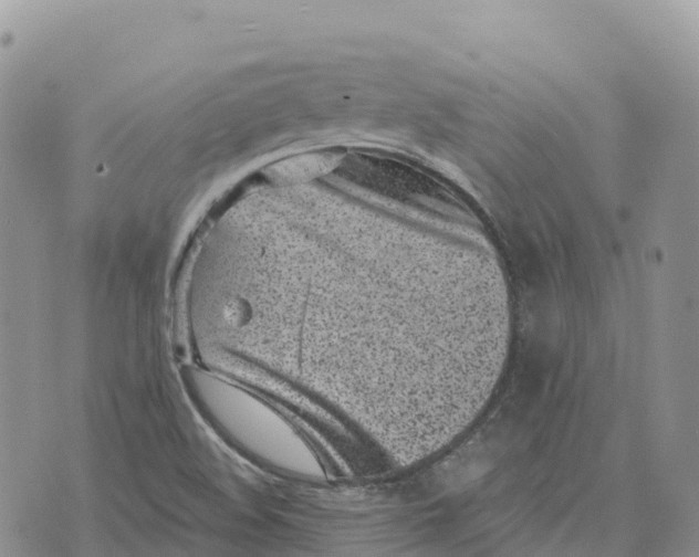 X0000072941508200608111547