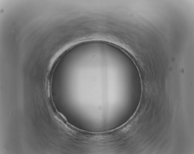 X0000072941510200608111547