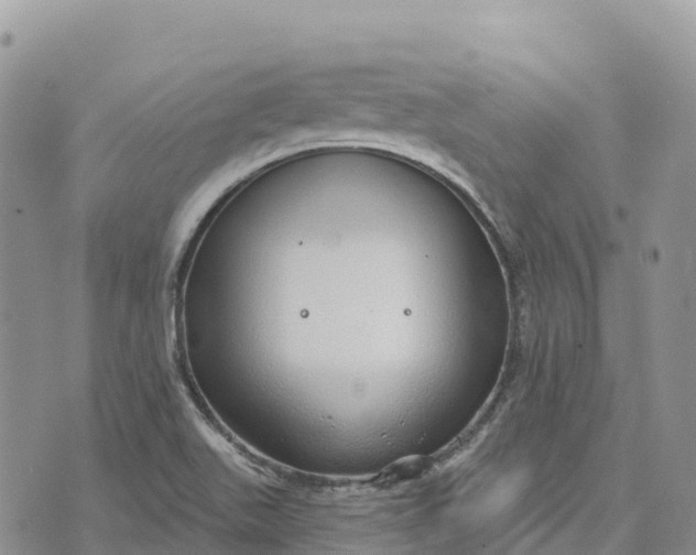 X0000072941511200608111547