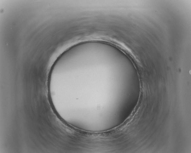 X0000072941512200608111547