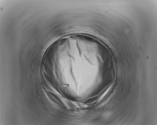 X0000072941513200608111547